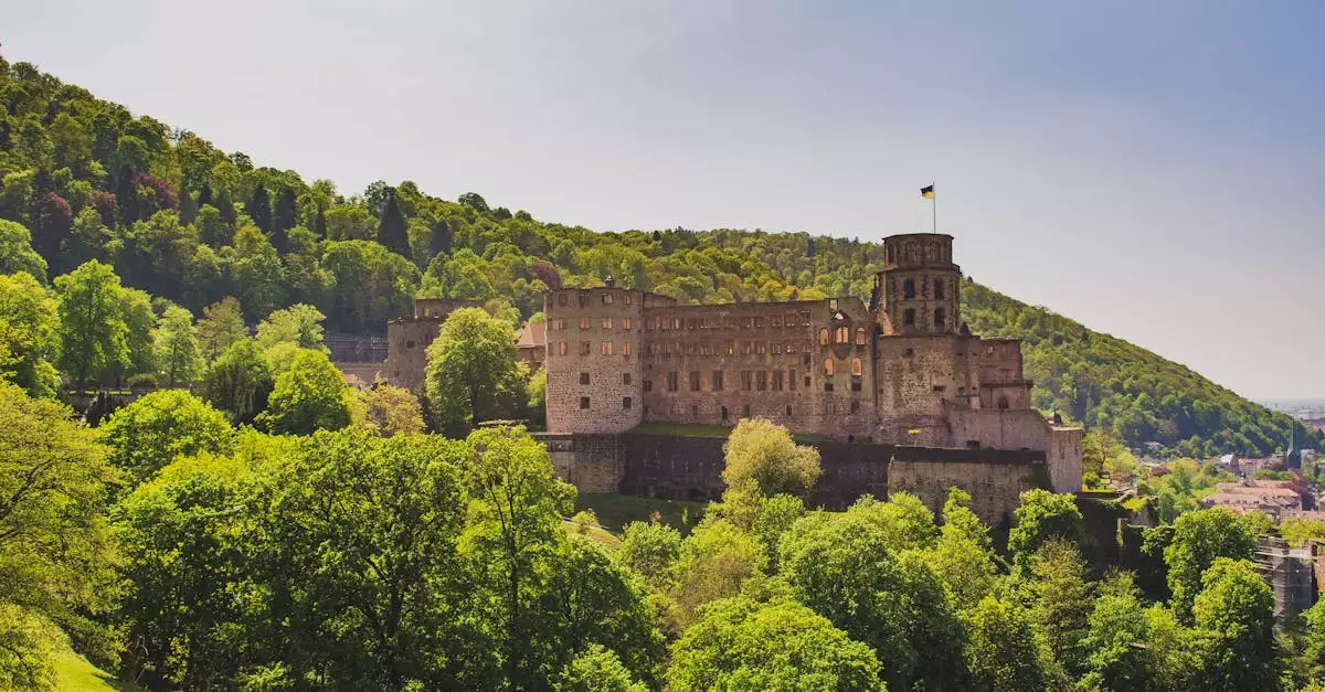 Wat is de geschiedenis van Heidelberg (Baden-Württemberg)