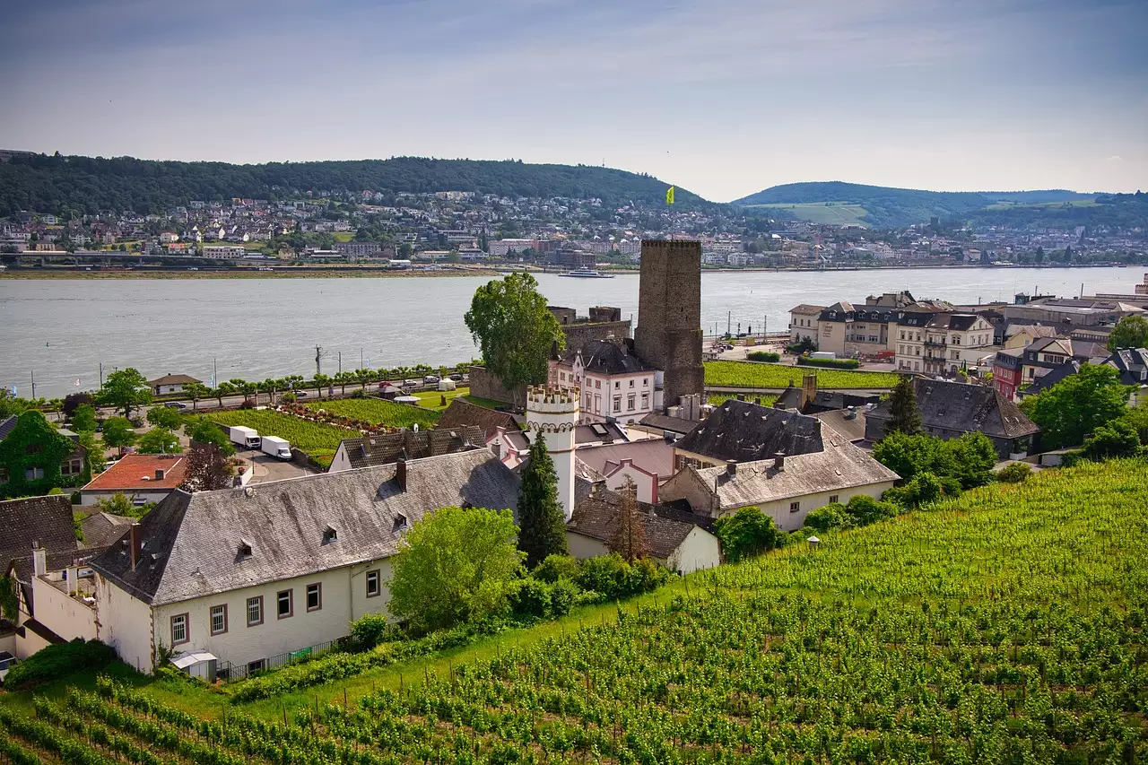Wat is een leuke plek om te overnachten in Rüdesheim am Rhein (Hessen)