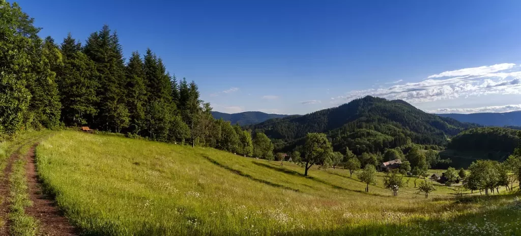 Wat zijn mooie wandelroutes / fietsroutes in Schwarzwald (Baden-Württemberg)