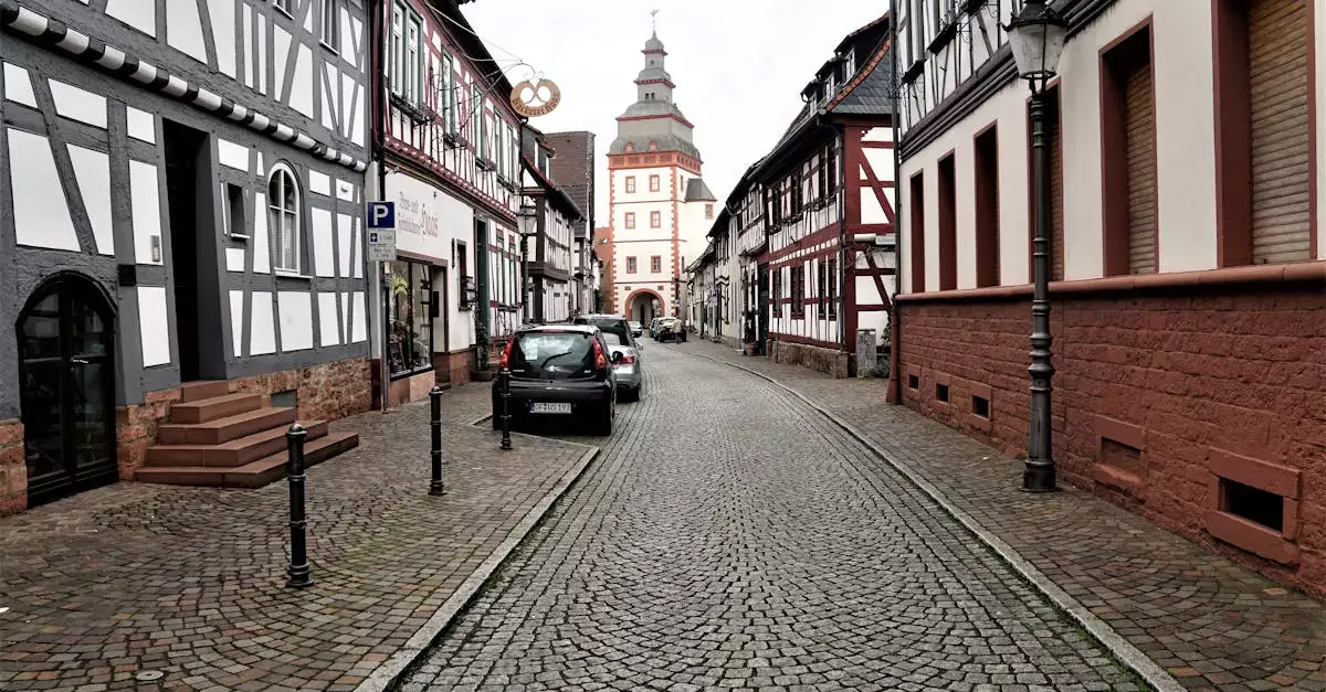 Wat is de geschiedenis van Seligenstadt (Hessen)
