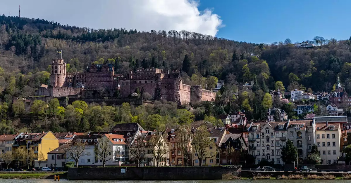 Wat is de geschiedenis van Sulz am Neckar (Baden-Württemberg)