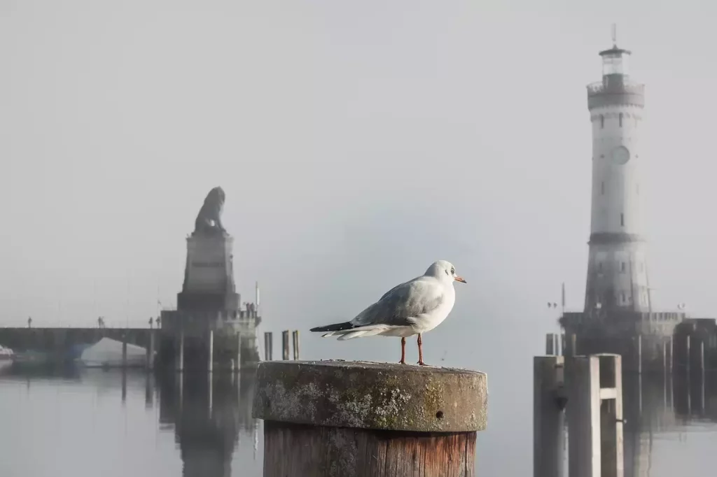 Wat is een leuke plek om te overnachten in Lindau (Beieren)