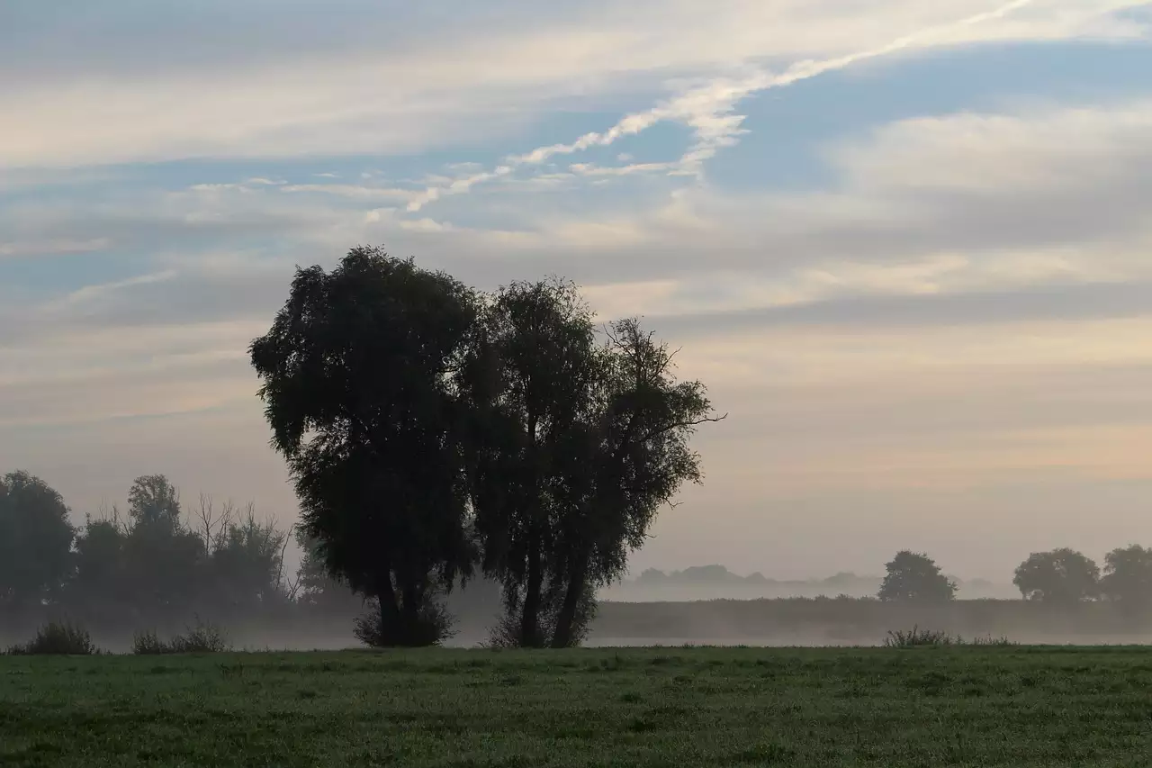 Wat zijn mooie wandelroutes / fietsroutes in Lüchow (Wendland) (Nedersaksen)