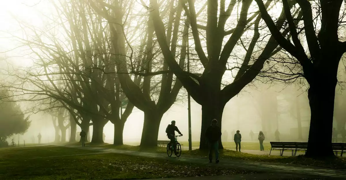 Wat zijn mooie wandelroutes / fietsroutes in Meerane (Saksen)