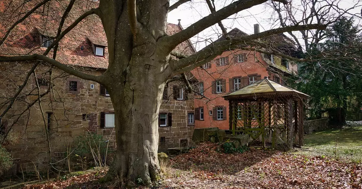 Wat zijn toeristische bezienswaardigheden in Rosenfeld (Baden-Württemberg)
