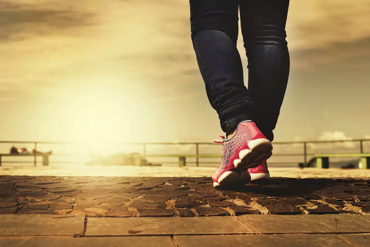 Wat zijn mooie wandelroutes / fietsroutes in Norden (Nedersaksen)