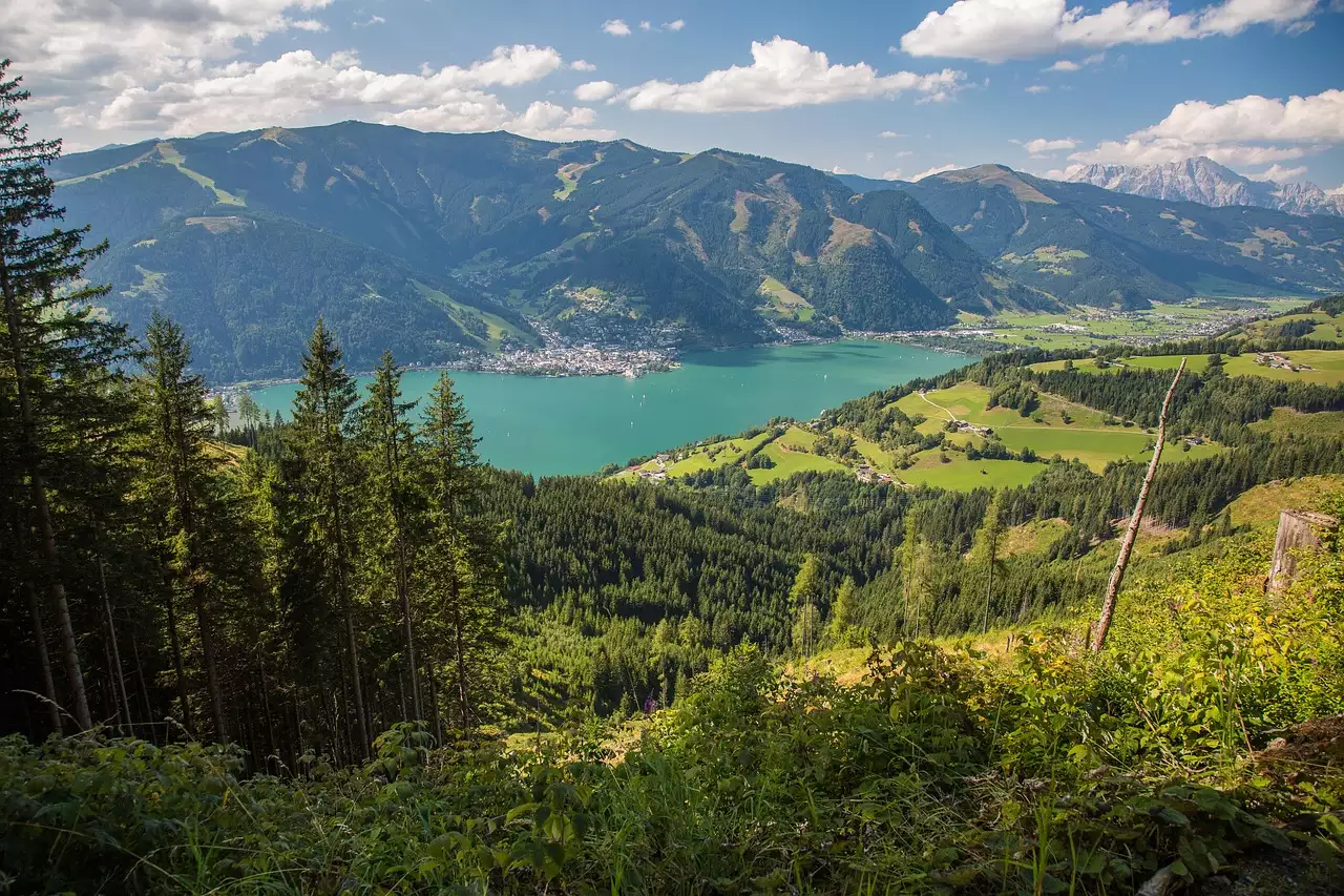 Wat zijn mooie wandelroutes / fietsroutes in Zell am Harmersbach (Baden-Württemberg)