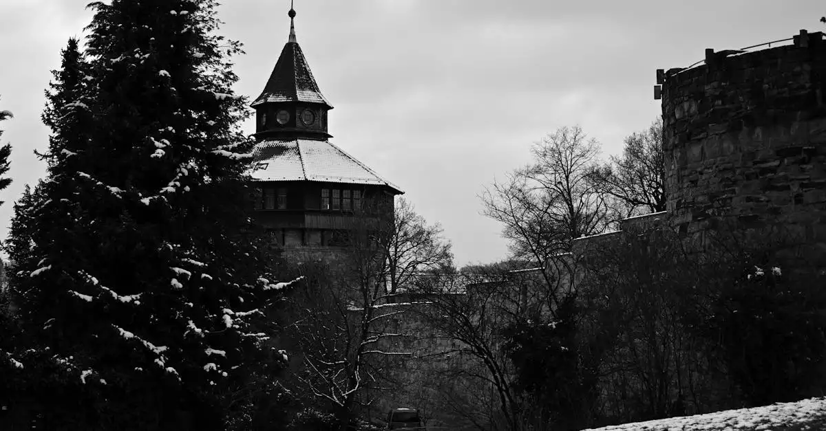 Wat is de geschiedenis van Freiberg am Neckar (Baden-Württemberg)