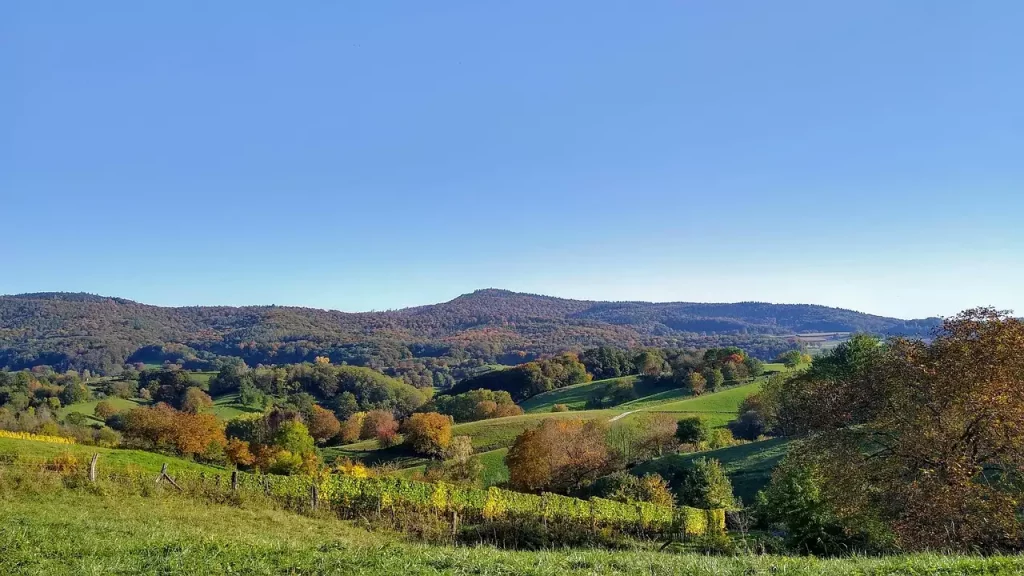 Wat is een leuke plek om te overnachten in Eppstein (Hessen)