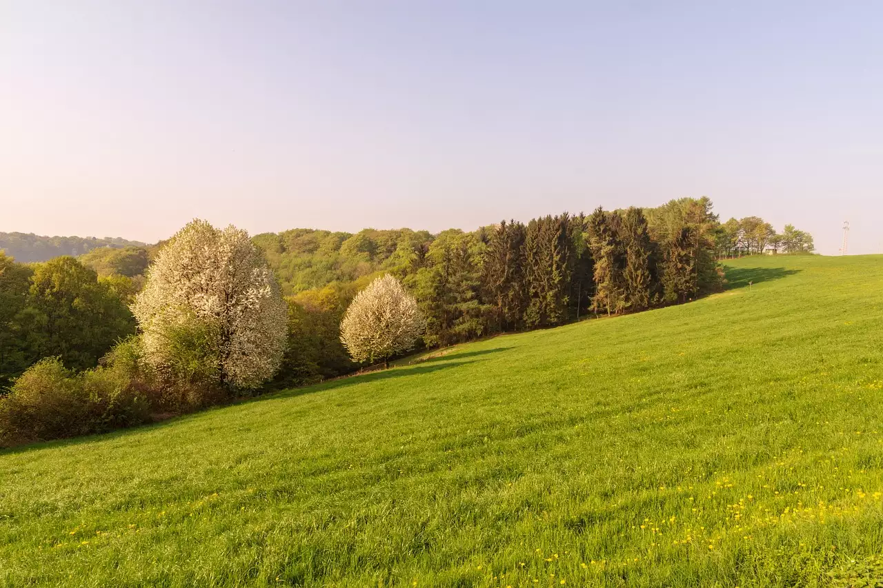 Wat is een leuke plek om te overnachten in Velbert (Noordrijn-Westfalen)