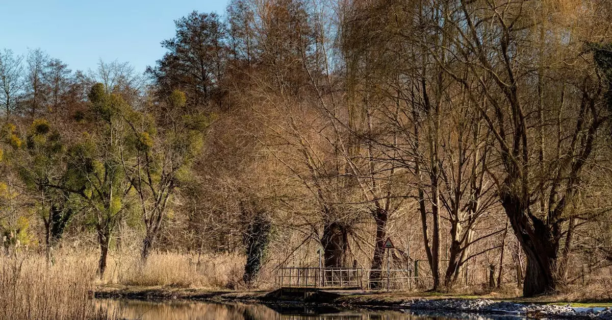 Wat is een leuke plek om te overnachten in Ziesar (Brandenburg)