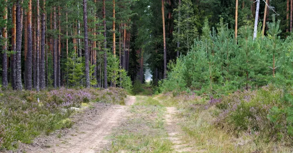 Wat zijn mooie wandelroutes / fietsroutes in Löffingen (Baden-Württemberg)