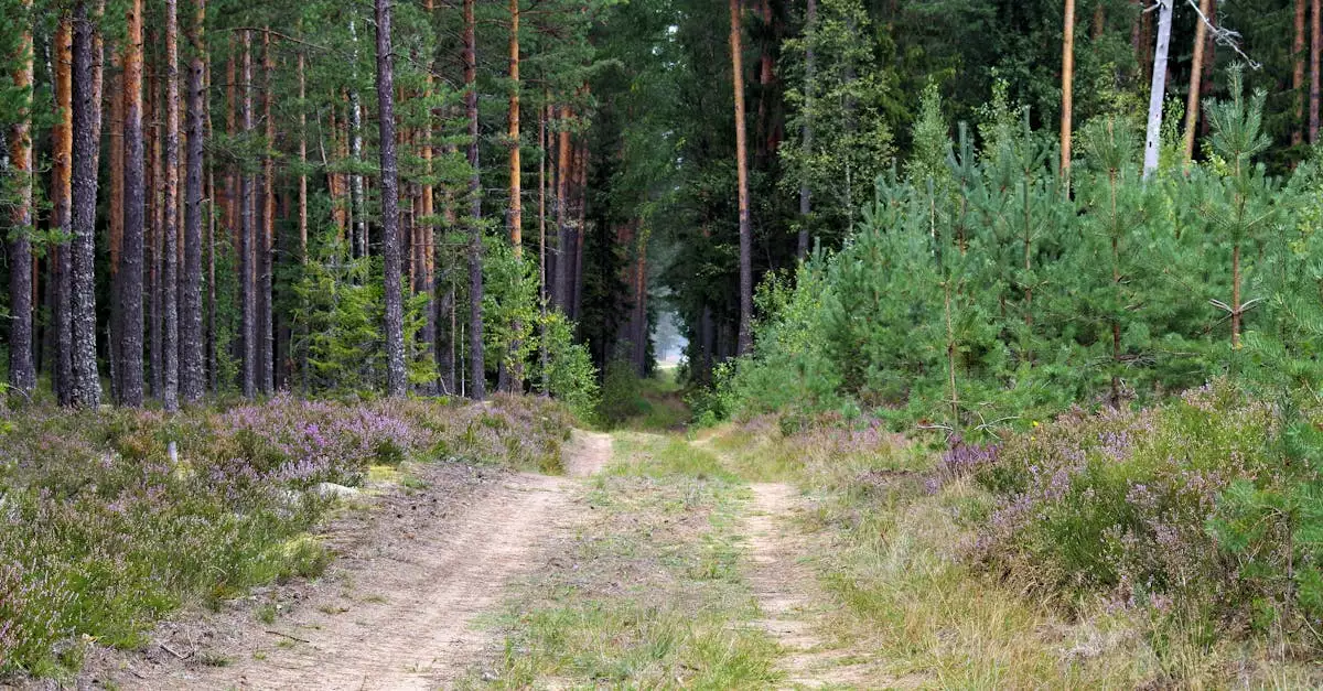 Wat zijn mooie wandelroutes / fietsroutes in Löffingen (Baden-Württemberg)