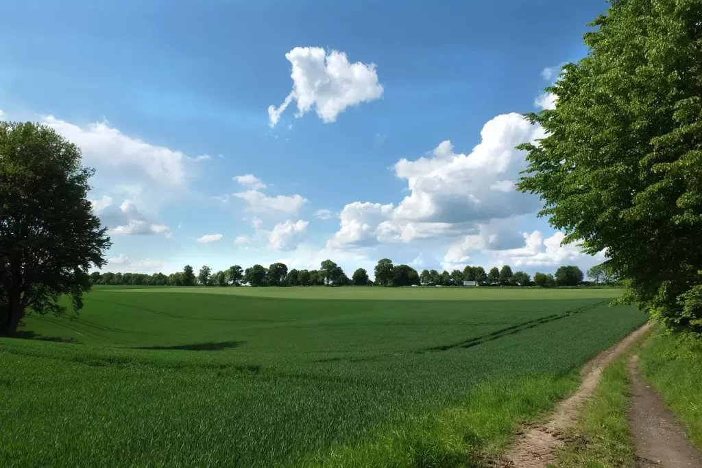 Wat zijn mooie wandelroutes / fietsroutes in Mettmann (Noordrijn-Westfalen)