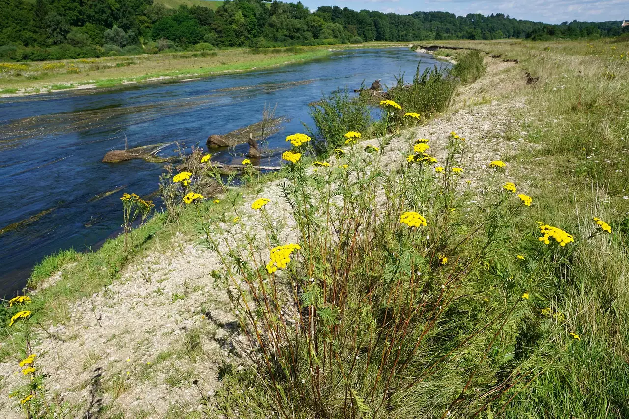 Wat zijn mooie wandelroutes / fietsroutes in Riedlingen (Baden-Württemberg)