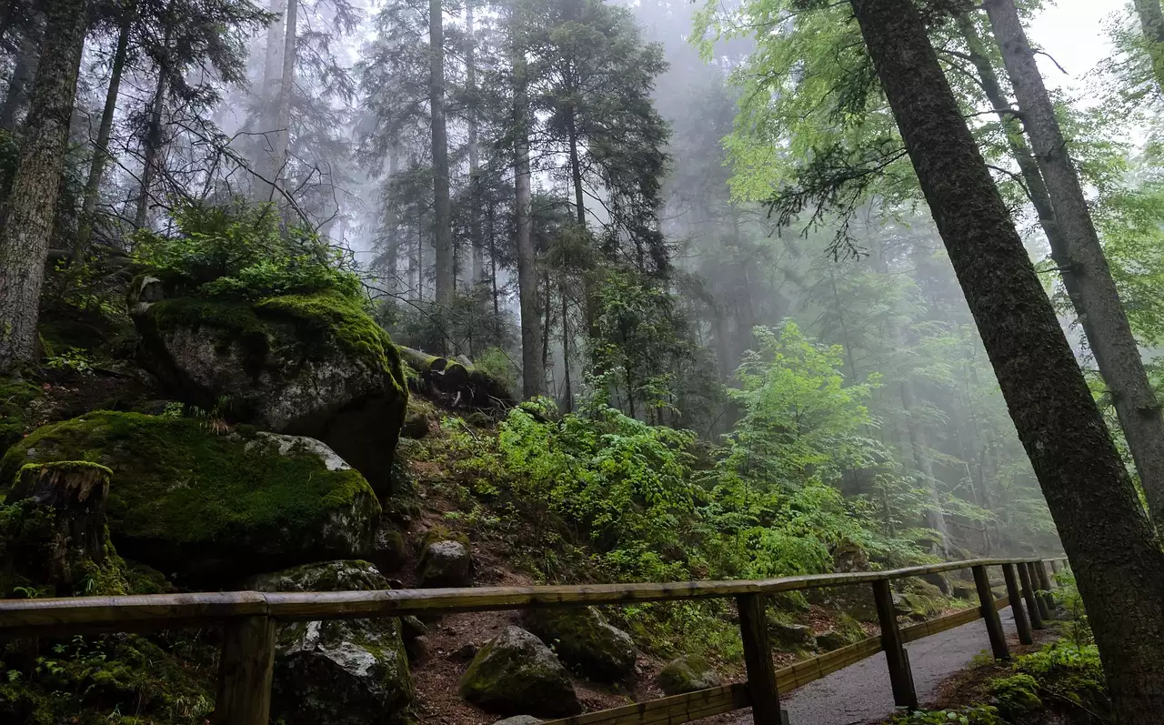 Wat zijn mooie wandelroutes / fietsroutes in Triberg im Schwarzwald (Baden-Württemberg)