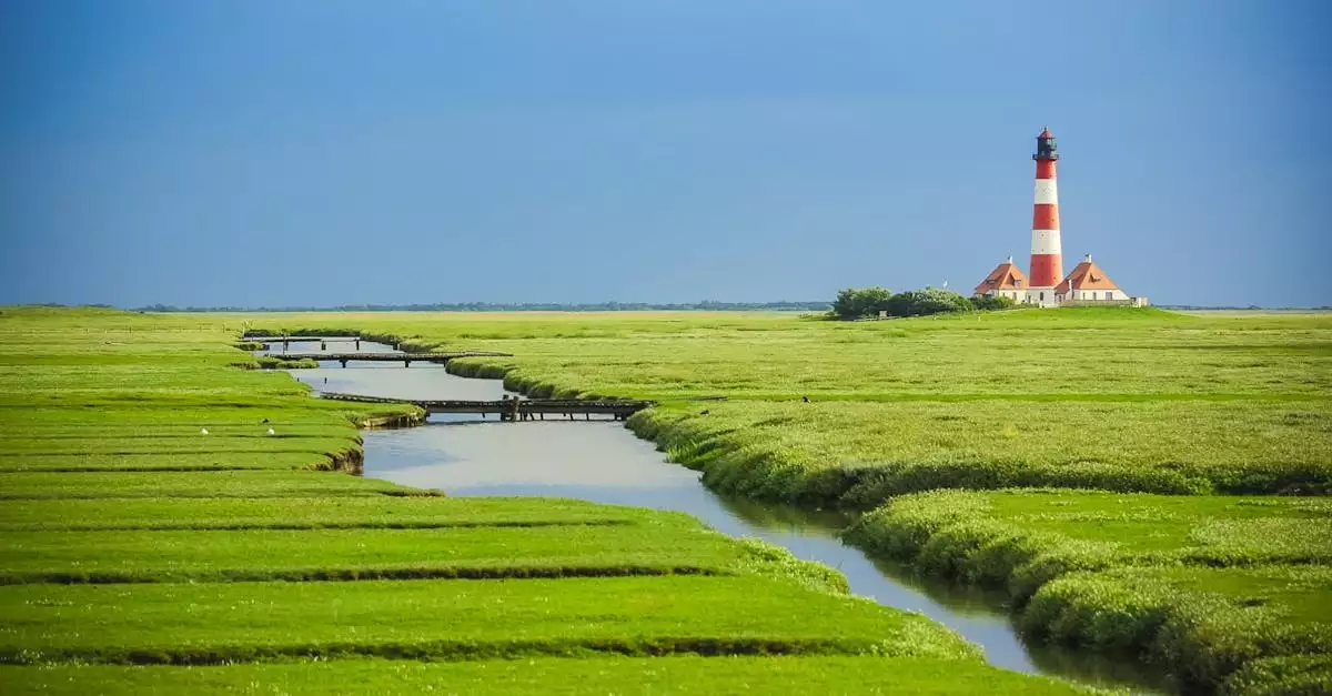 Wat zijn toeristische bezienswaardigheden in Arnis (Sleeswijk-Holstein)