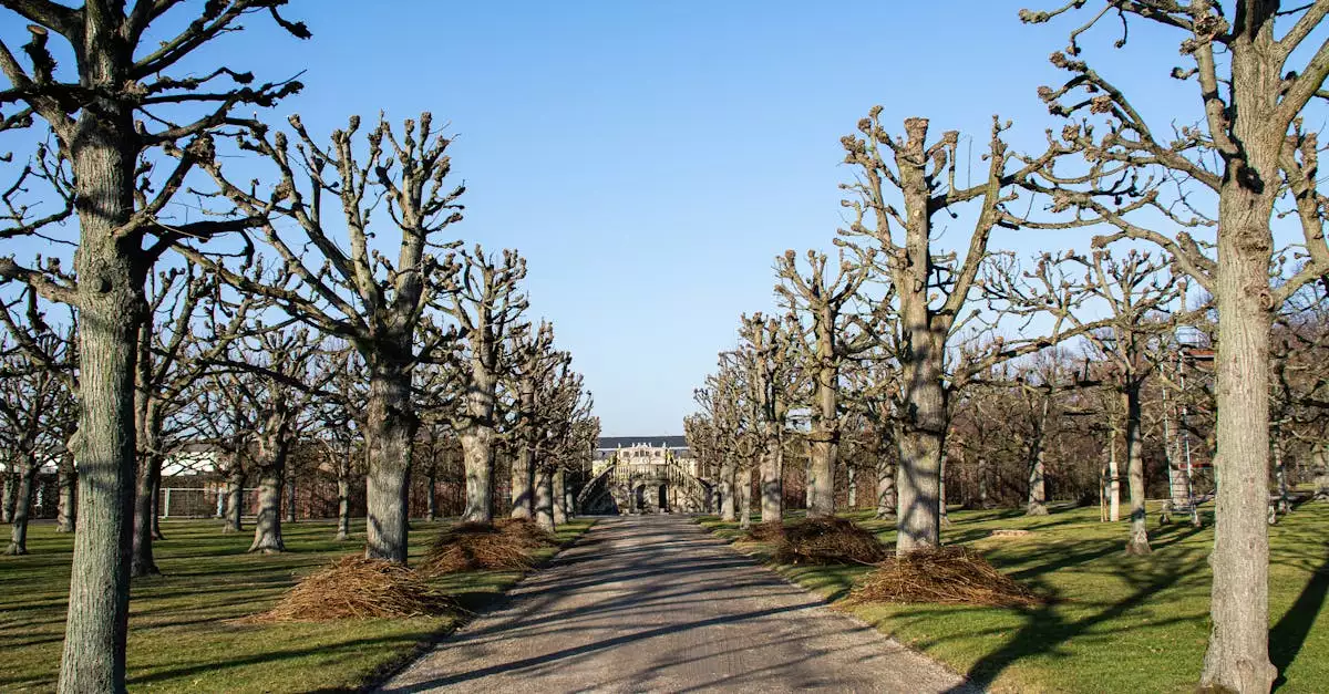 Wat zijn toeristische bezienswaardigheden in Obernkirchen (Nedersaksen)
