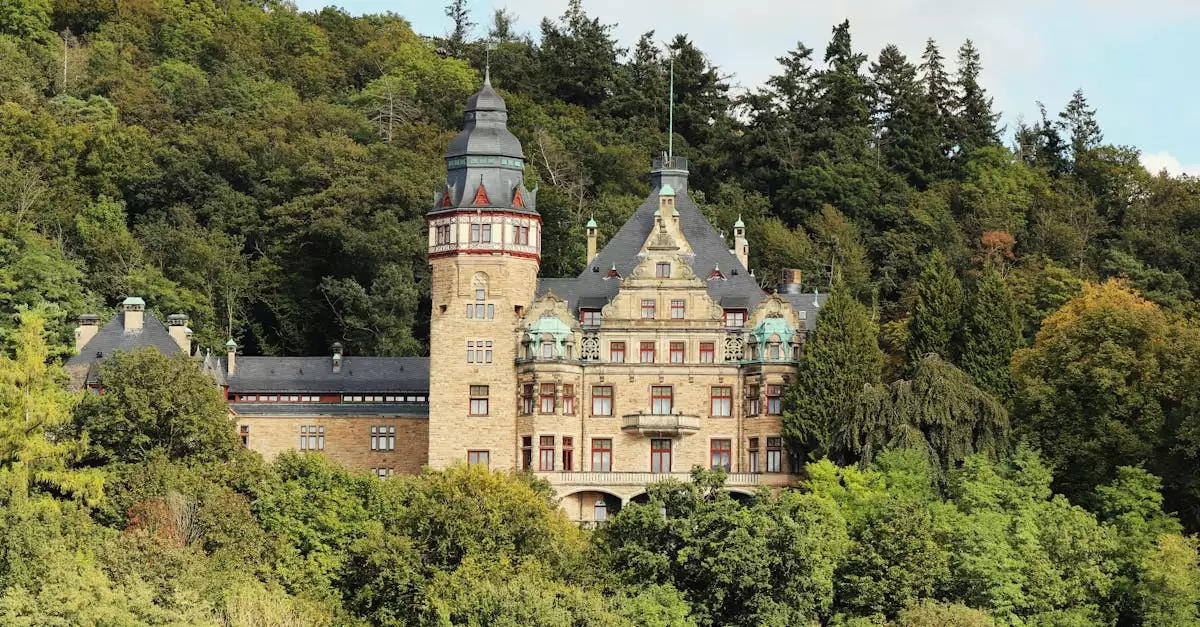 Wat is de geschiedenis van Steinau an der Straße (Hessen)