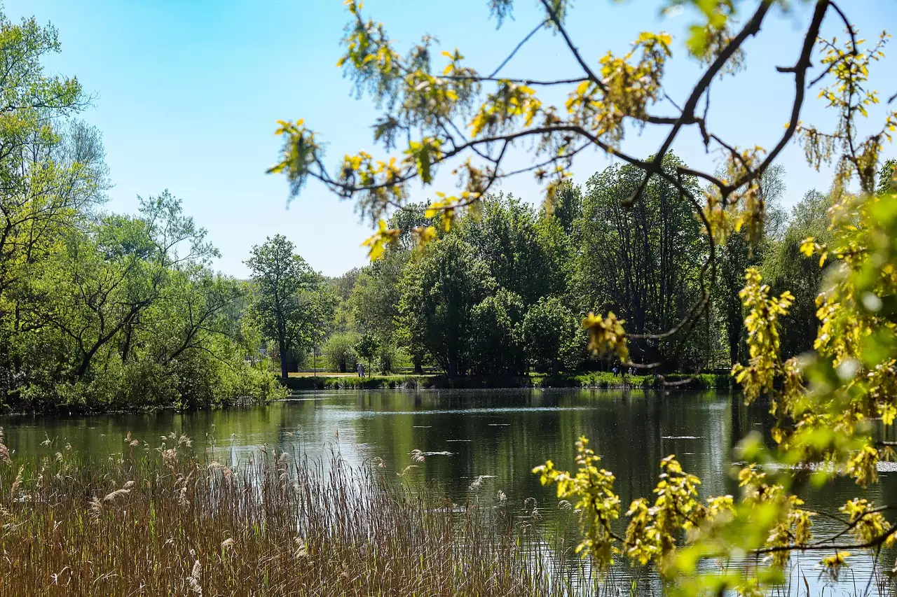 Wat is een leuke plek om te overnachten in Frankenberg (Saksen)