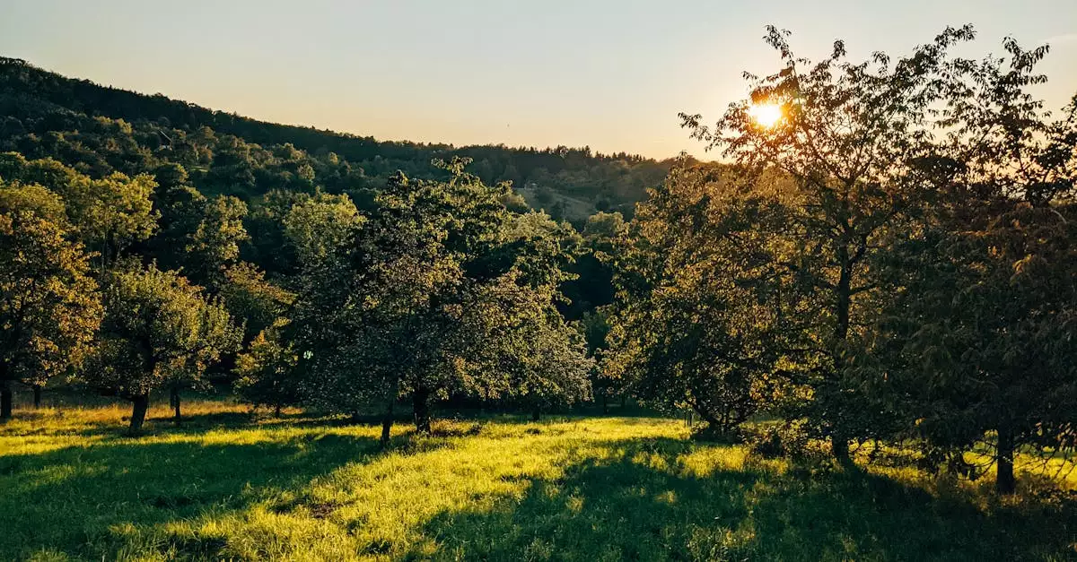 Wat is een leuke plek om te overnachten in Mössingen (Baden-Württemberg)