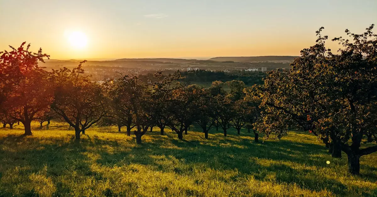 Wat is een leuke plek om te overnachten in Mössingen (Baden-Württemberg)