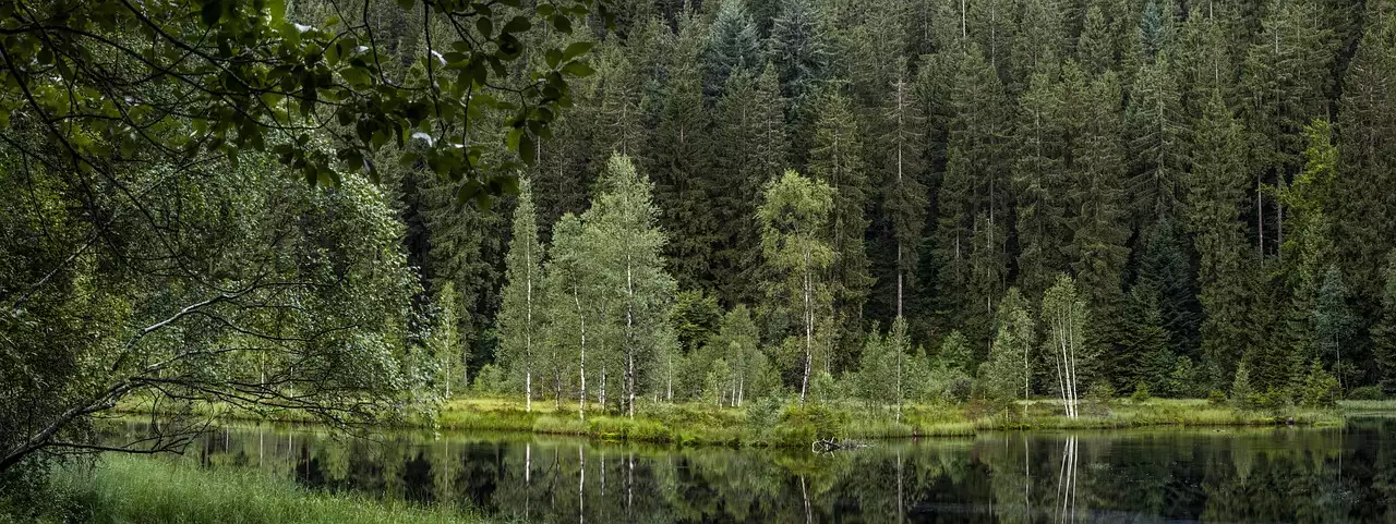Wat is een leuke plek om te overnachten in Schwarzwald (Baden-Württemberg)