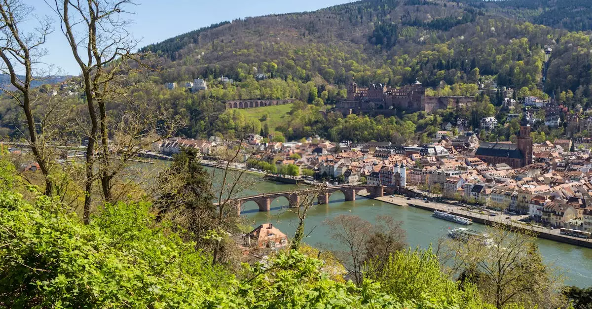 Wat is een leuke plek om te overnachten in Tengen (Baden-Württemberg)