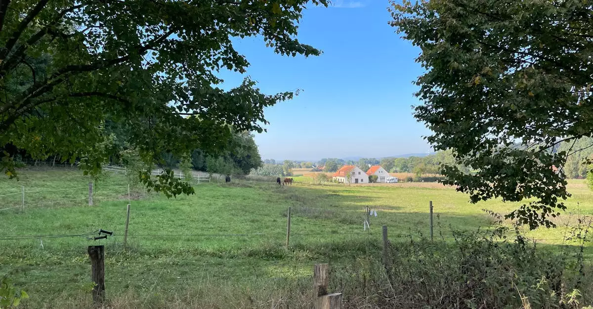 Wat zijn mooie wandelroutes / fietsroutes in Borgholzhausen (Noordrijn-Westfalen)