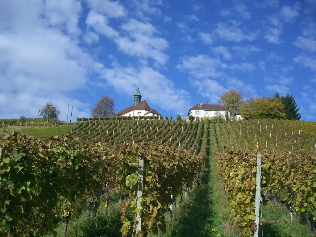 Wat zijn mooie wandelroutes / fietsroutes in Gengenbach (Baden-Württemberg)