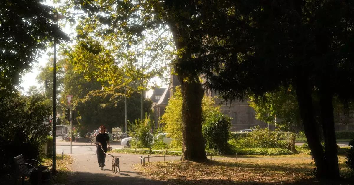 Wat zijn mooie wandelroutes / fietsroutes in Linz am Rhein (Rijnland-Palts)
