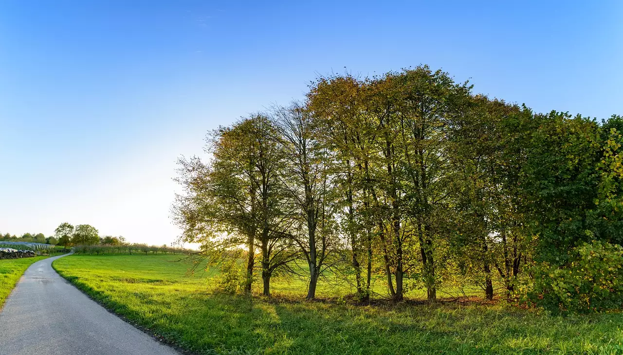 Wat zijn mooie wandelroutes / fietsroutes in Mosbach (Baden-Württemberg)