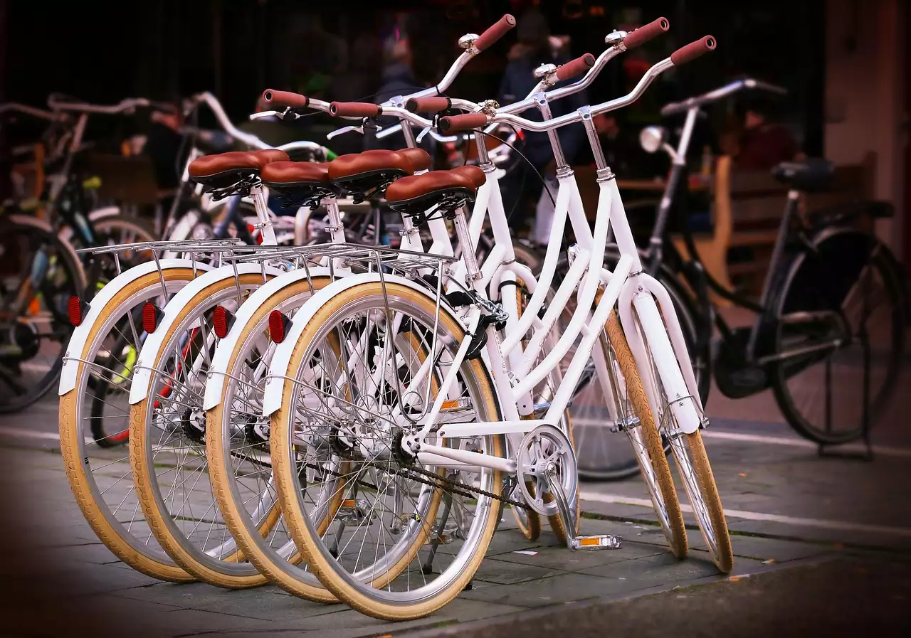 Wat zijn mooie wandelroutes / fietsroutes in Nordenham (Nedersaksen)