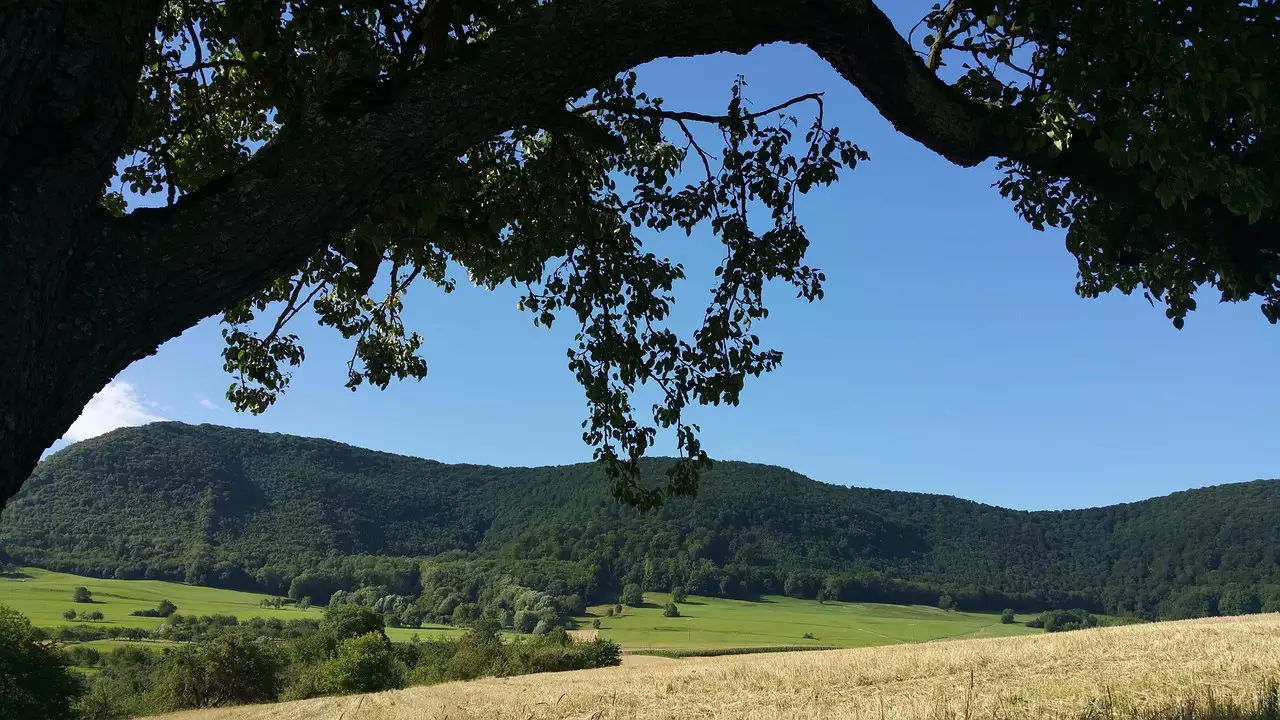 Wat zijn mooie wandelroutes / fietsroutes in Owen (Baden-Württemberg)