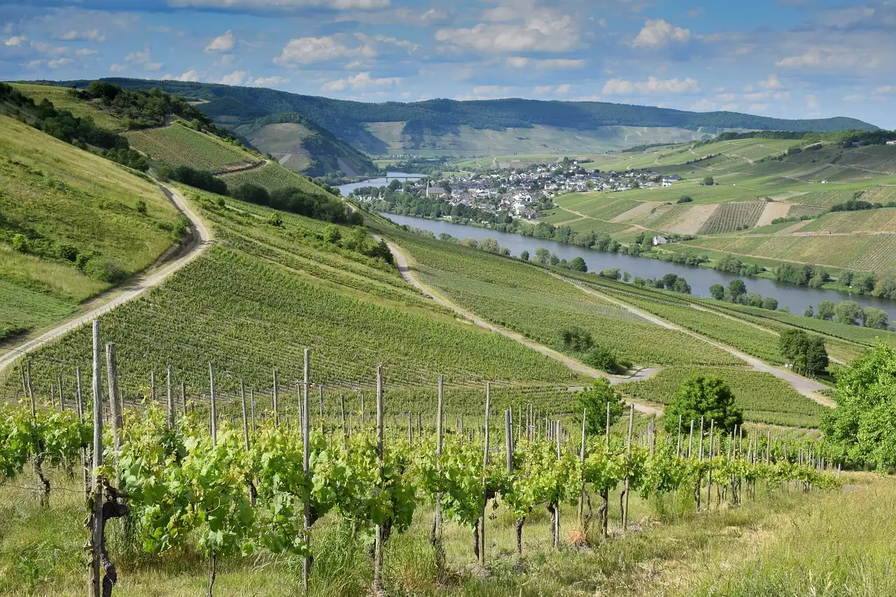 Wat zijn mooie wandelroutes / fietsroutes in Thalheim (Saksen)