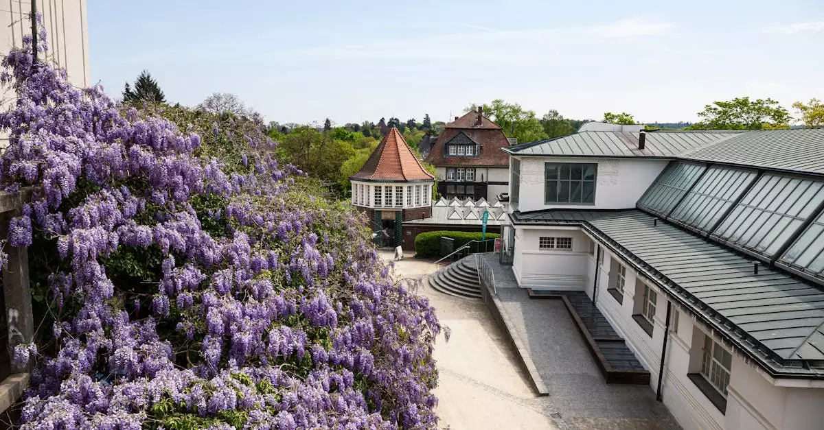 Wat zijn toeristische bezienswaardigheden in Büdingen (Hessen)