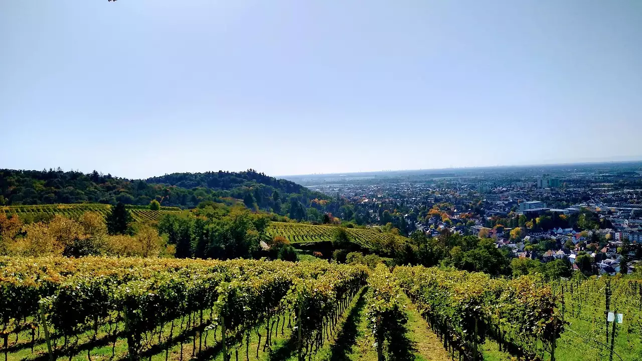 Wat zijn toeristische bezienswaardigheden in Diemelstadt (Hessen)