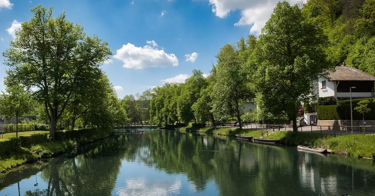 Wat zijn toeristische bezienswaardigheden in Nagold (Baden-Württemberg)