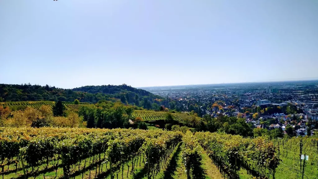 Wat zijn toeristische bezienswaardigheden in Rosbach vor der Höhe (Hessen)