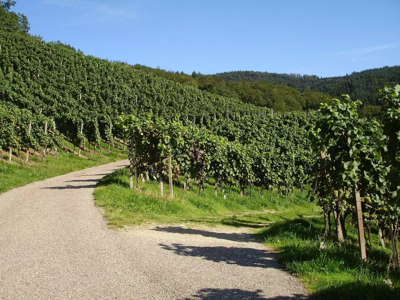 Wat zijn toeristische bezienswaardigheden in Weinstraße (Rijnland-Palts)