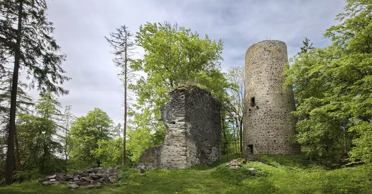 Wat is de geschiedenis van Selters (Westerwald) (Rijnland-Palts)