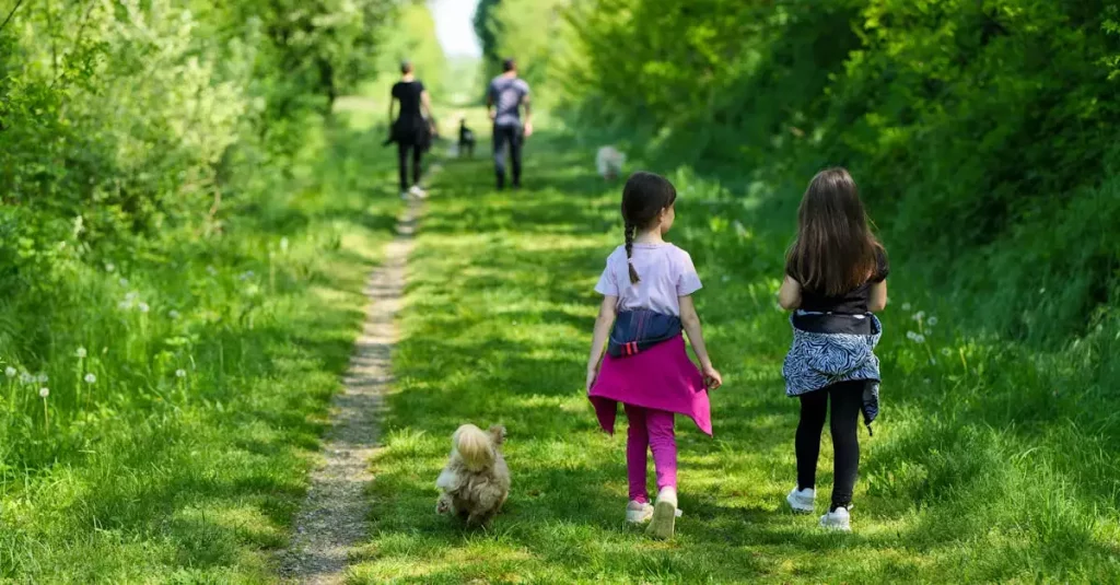 Wat zijn mooie wandelroutes / fietsroutes in Oberlungwitz (Saksen)