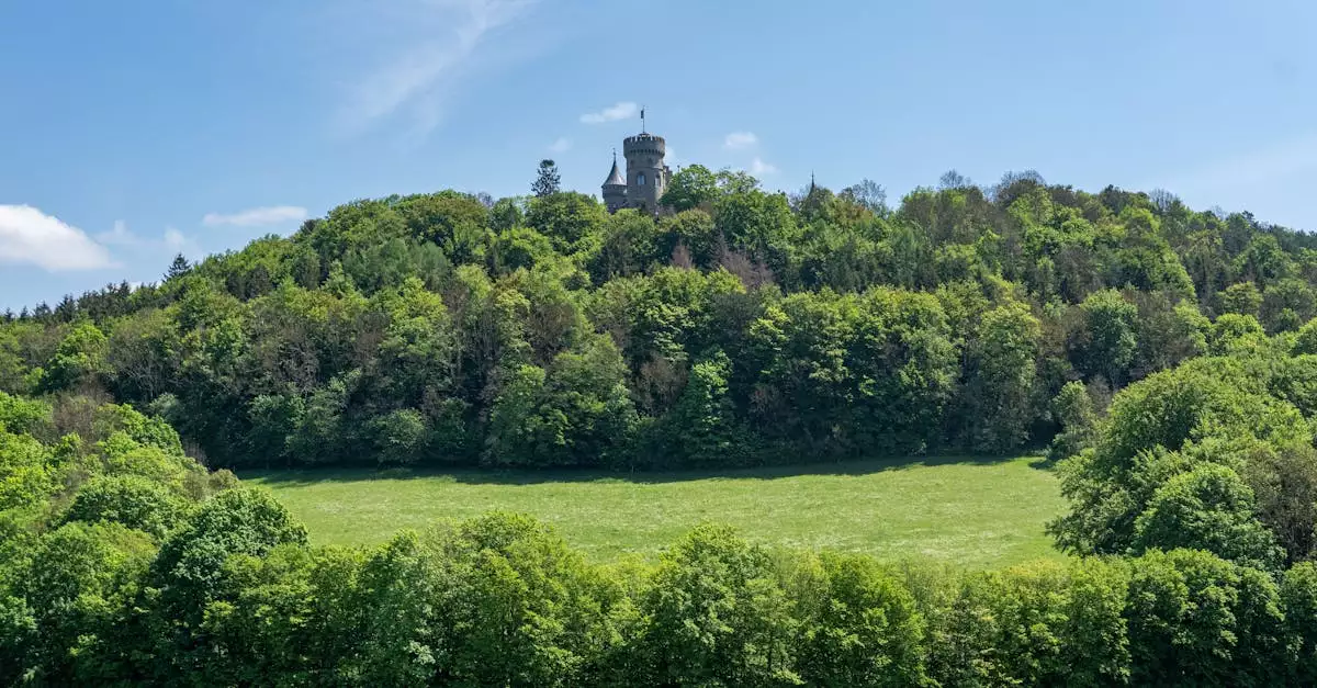 Wat zijn toeristische bezienswaardigheden in Meiningen (Thüringen)