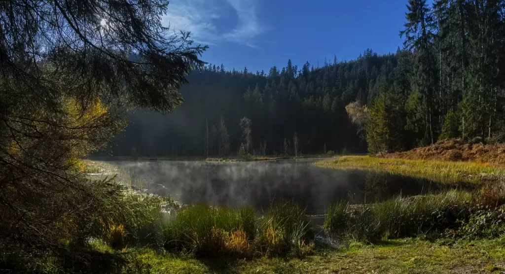Wat zijn toeristische bezienswaardigheden in St. Georgen im Schwarzwald (Baden-Württemberg)
