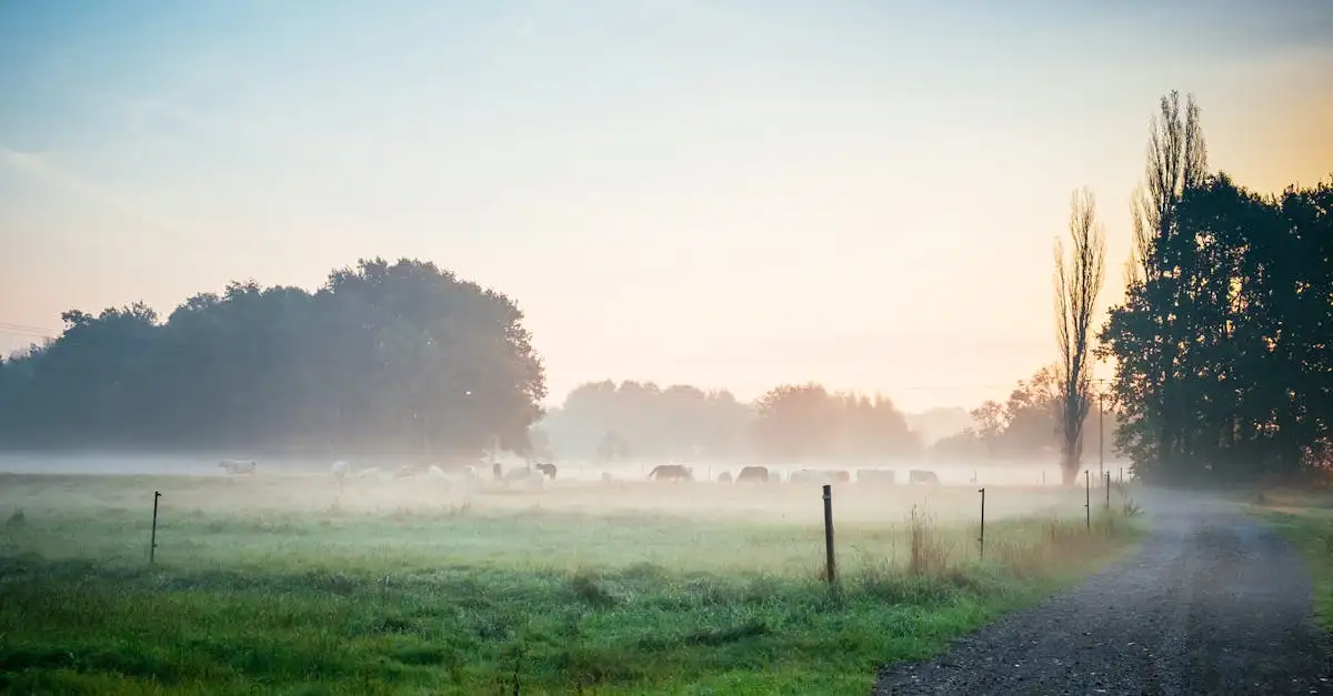 Wat zijn mooie wandelroutes / fietsroutes in Wittichenau (Saksen)