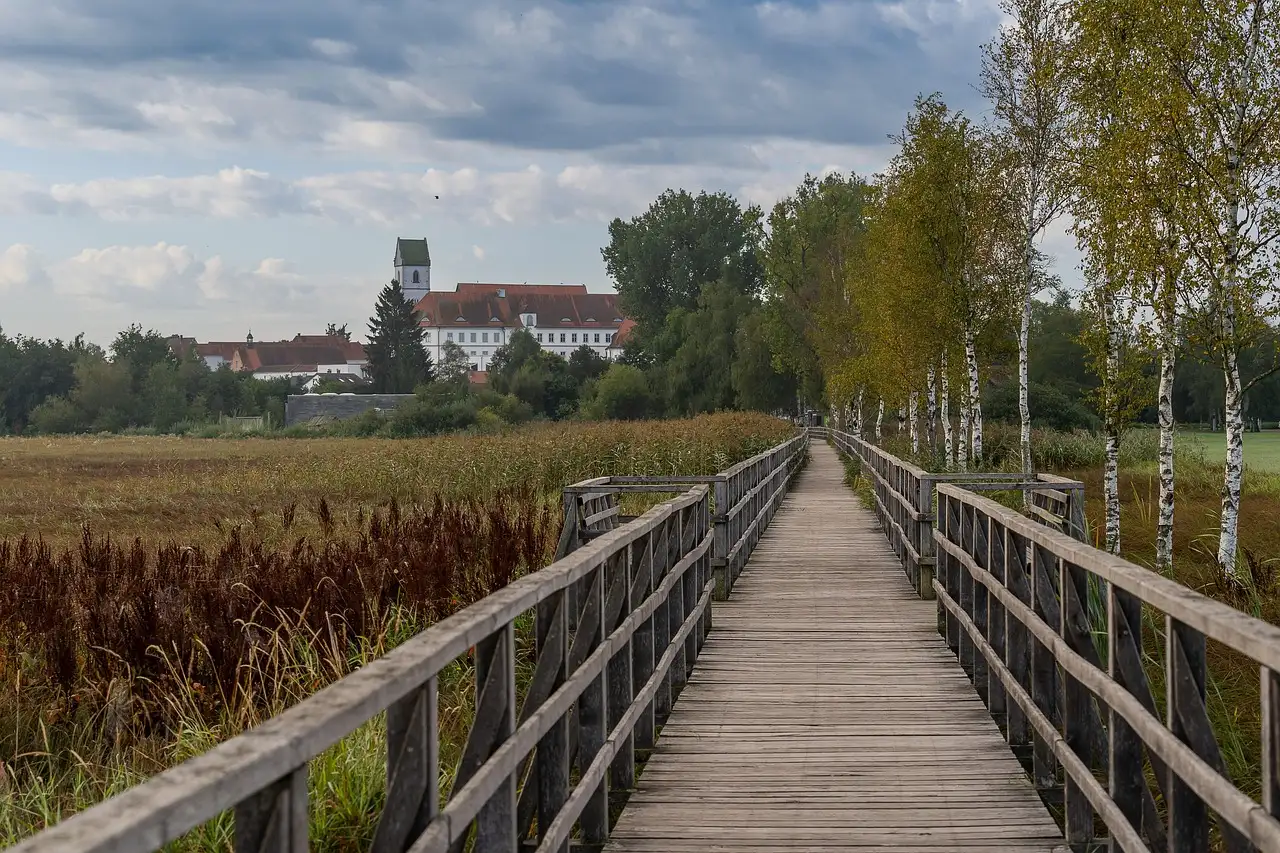 Wat zijn toeristische bezienswaardigheden in Bad Buchau (Baden-Württemberg)
