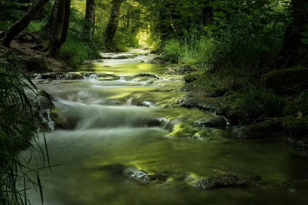 Leuke kinderwandeling Bad Reichenhalle: tips & routes