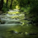 Leuke kinderwandeling Bad Reichenhalle: tips & routes
