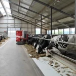 Melkveebedrijf zoeken? Vind de beste boerderij!