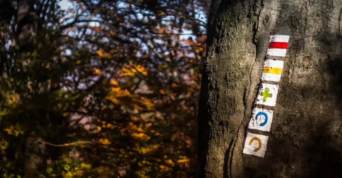 Soesterberg Wandelpad: Startpunt & Bewegwijzering